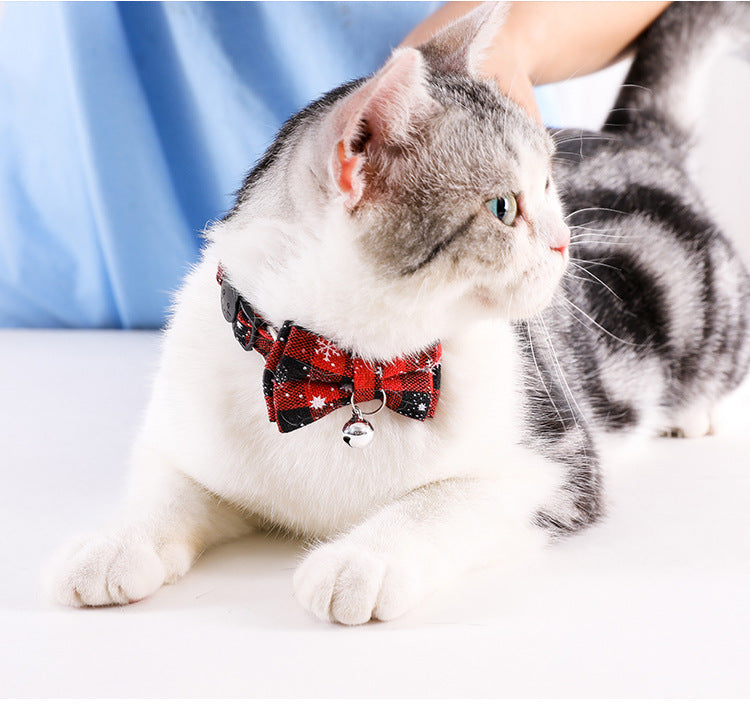 Purrfect Occasions for Cats